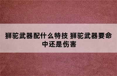 狮驼武器配什么特技 狮驼武器要命中还是伤害